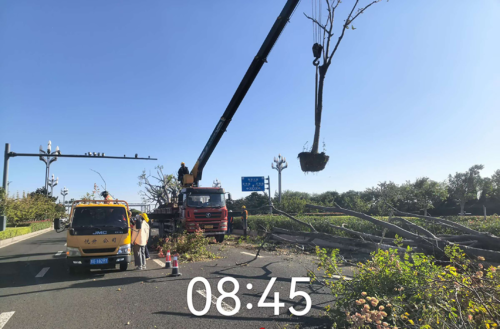 1D3583AA1AA03DE8B1CC69013685A385